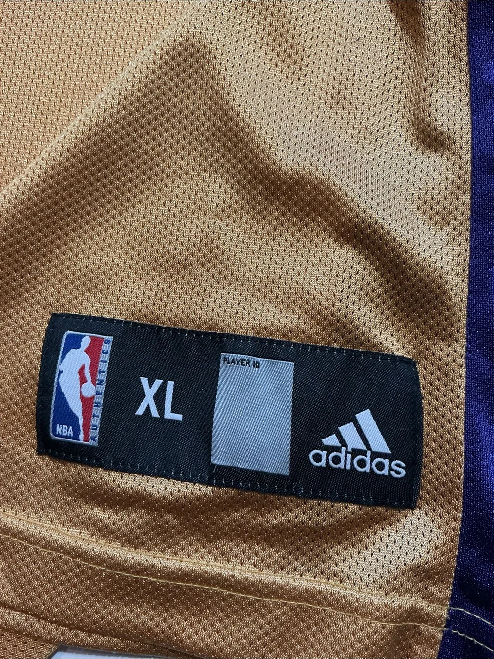 Adidas Los Angeles Lakers Derek Fisher #2 Mesh NBA Basketball Jersey